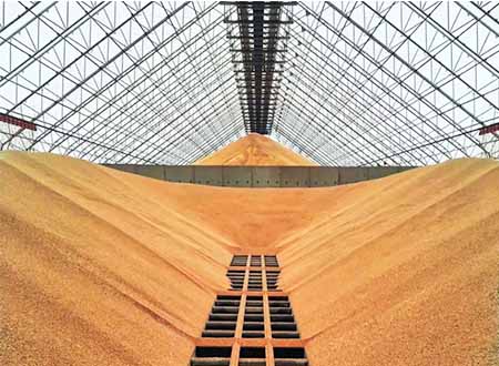 Steel Structure Grain Storage Warehouse