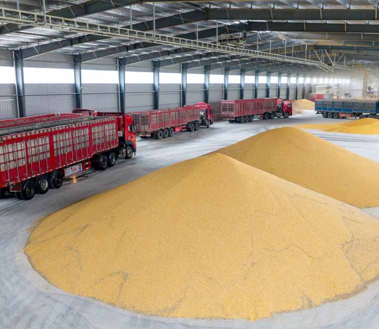 steel grain storage storage